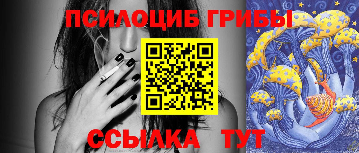 Галлюциногенные грибы Cubensis Ржев