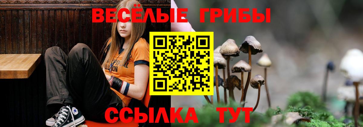 Псилоцибиновые грибы ЛСД  Вход с VPN  Ржев 